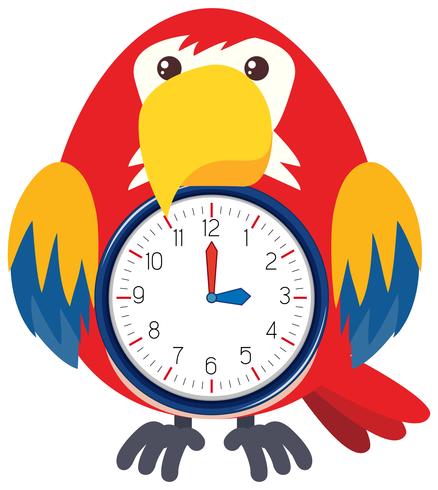 Une horloge à oiseaux sur fond blanc vecteur