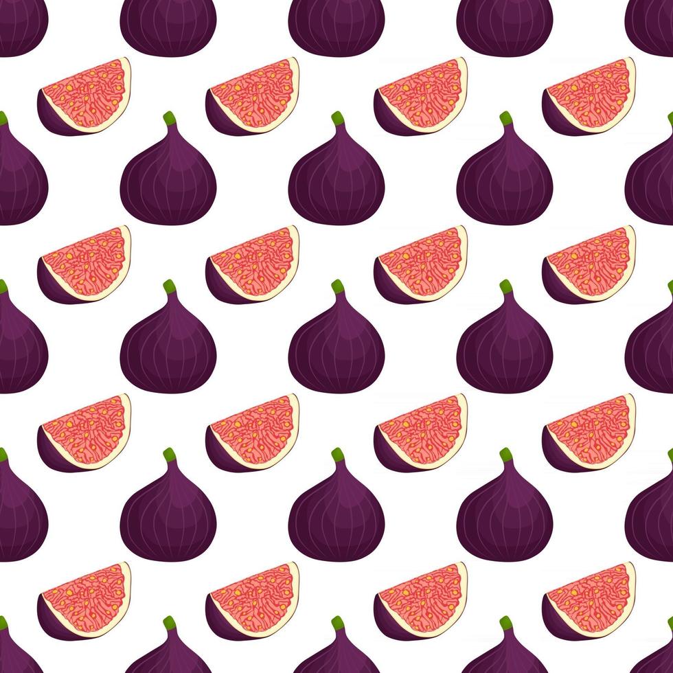 illustration sur le thème grande figue violette transparente colorée vecteur