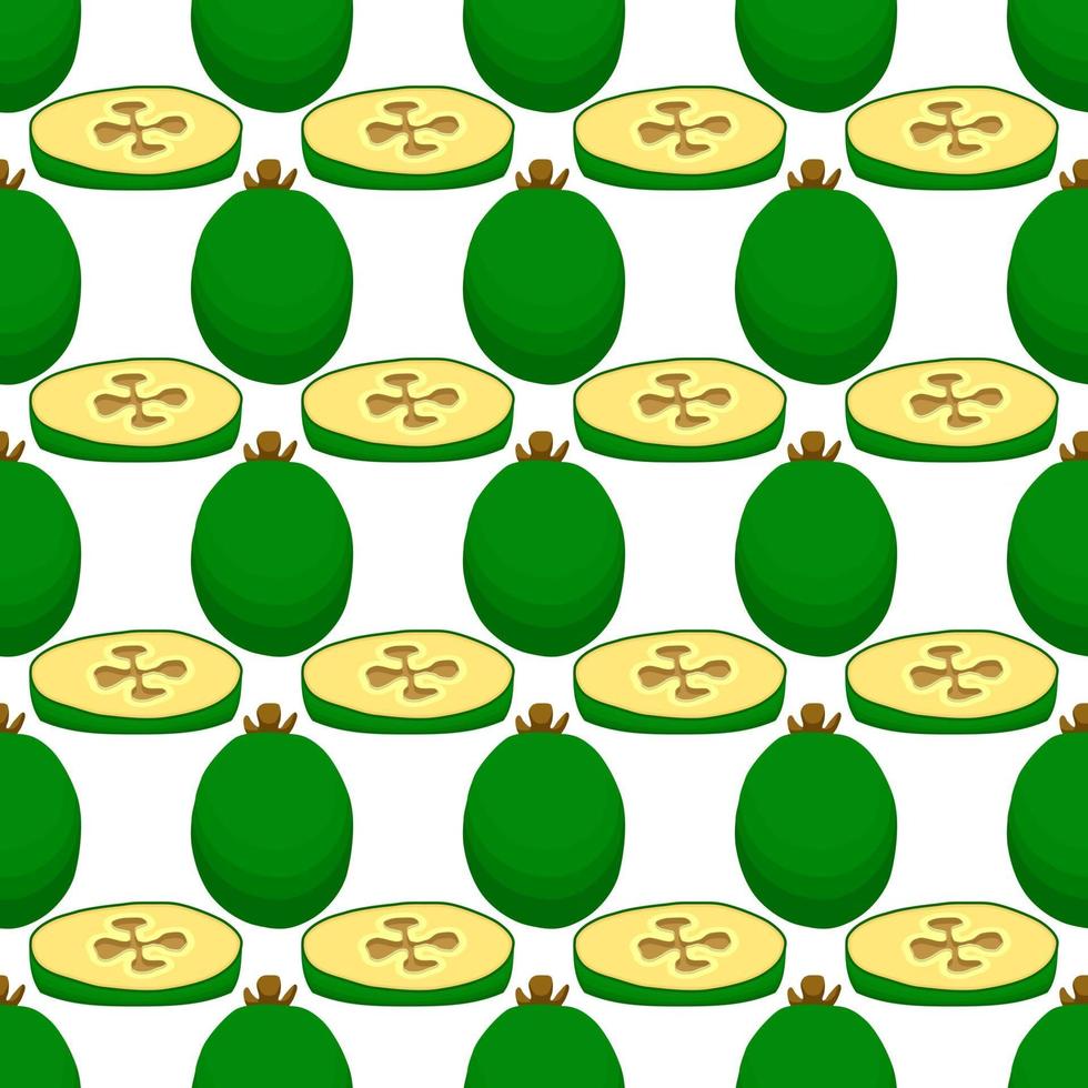 illustration sur le thème grande feijoa transparente colorée vecteur