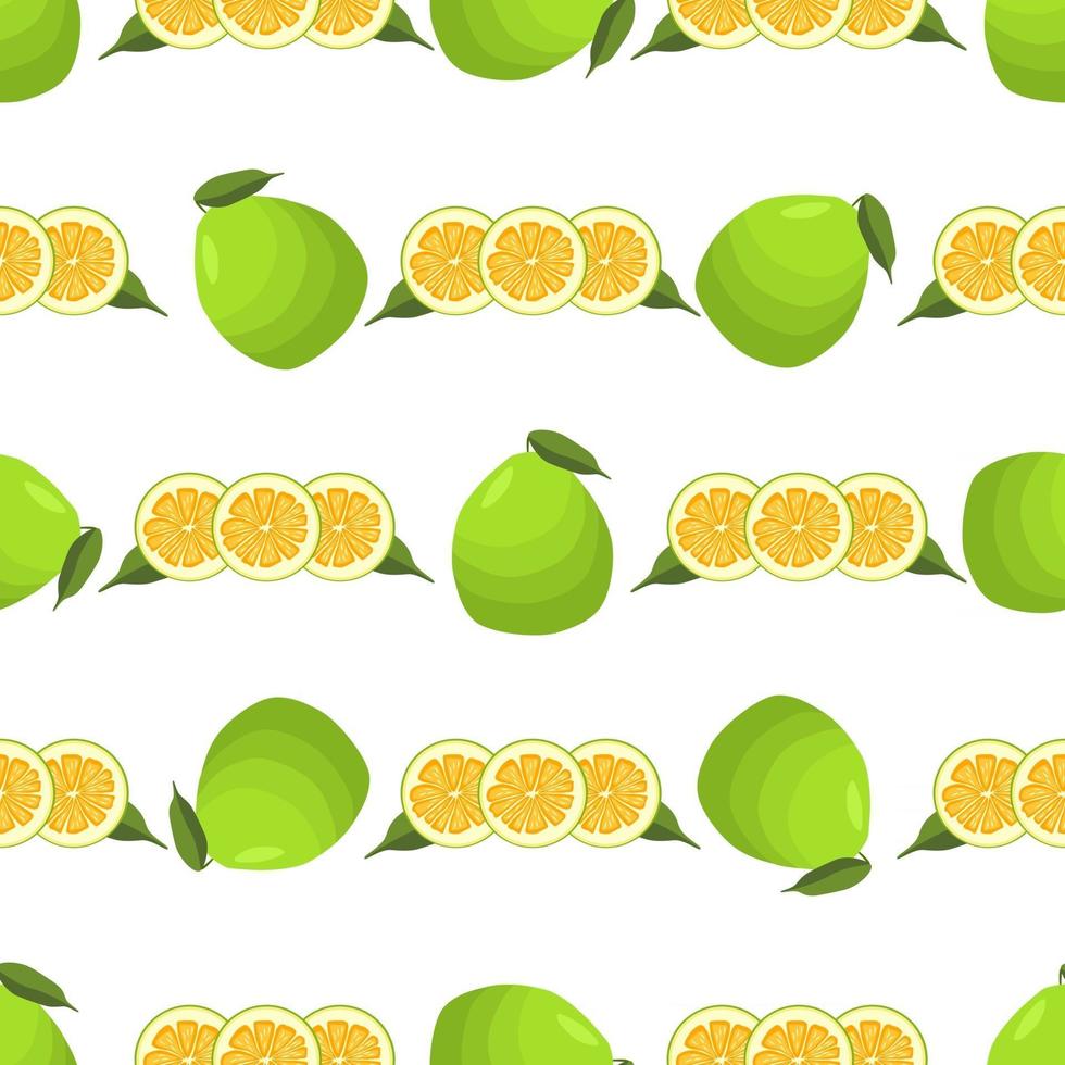 illustration sur le thème gros pomelo sans couture de couleur vecteur