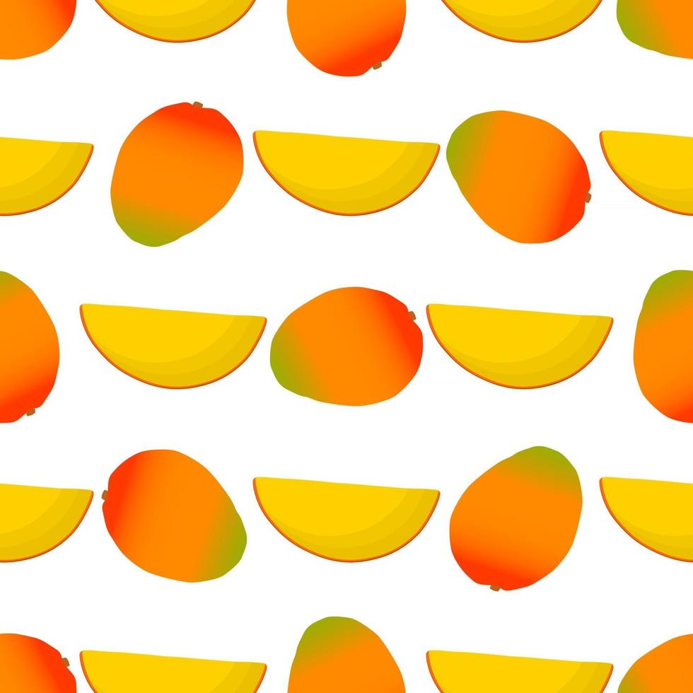 illustration sur le thème grande mangue transparente colorée vecteur