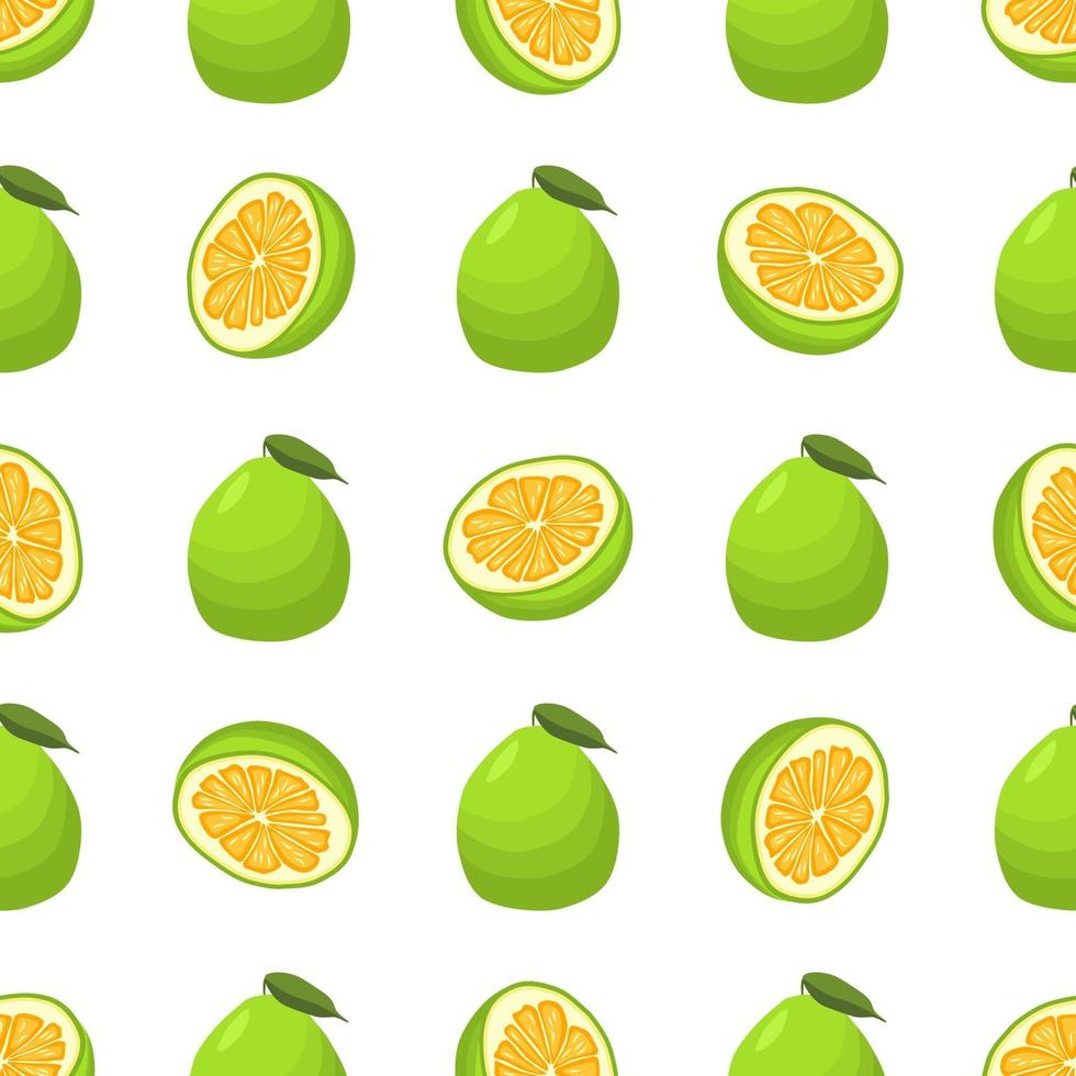 illustration sur le thème gros pomelo sans couture de couleur vecteur