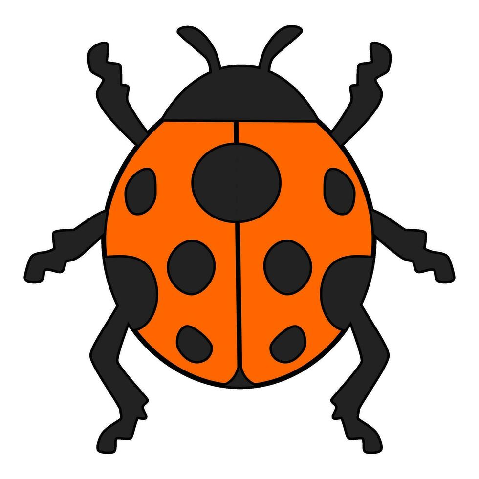 coccinelle clipart vecteur illustration