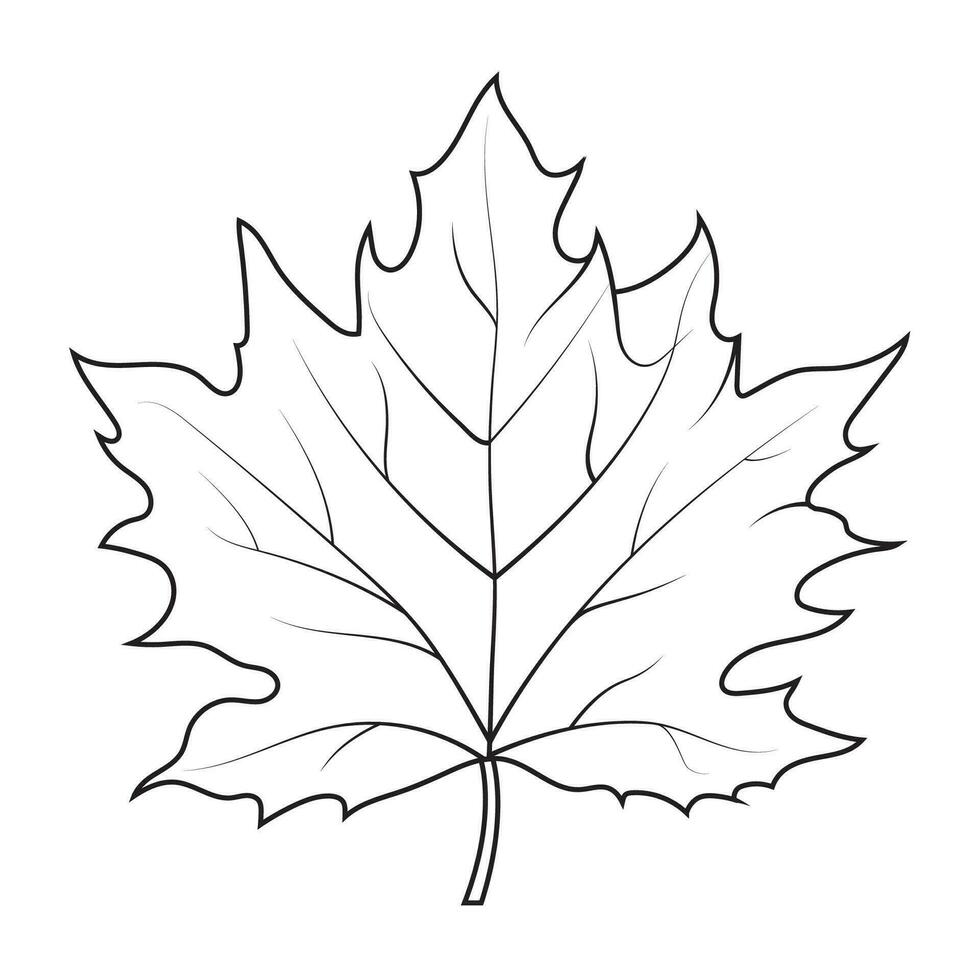 contour dessin de une érable feuille. l'automne feuille 29899913 Art  vectoriel chez Vecteezy