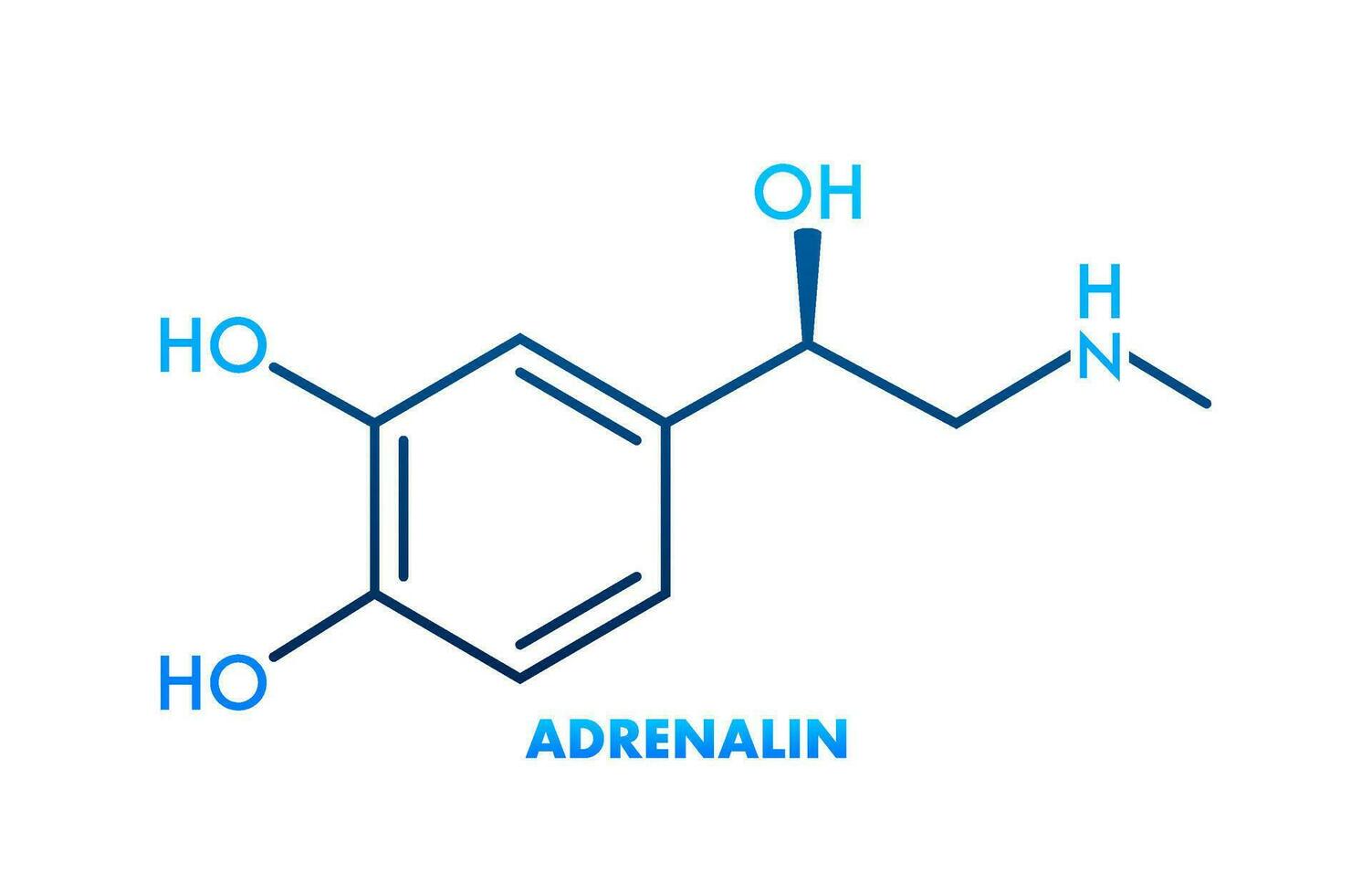 adrénaline ou adrénaline, épinéphrine neurotransmetteur molécule. squelettique formule.vecteur illustration. vecteur