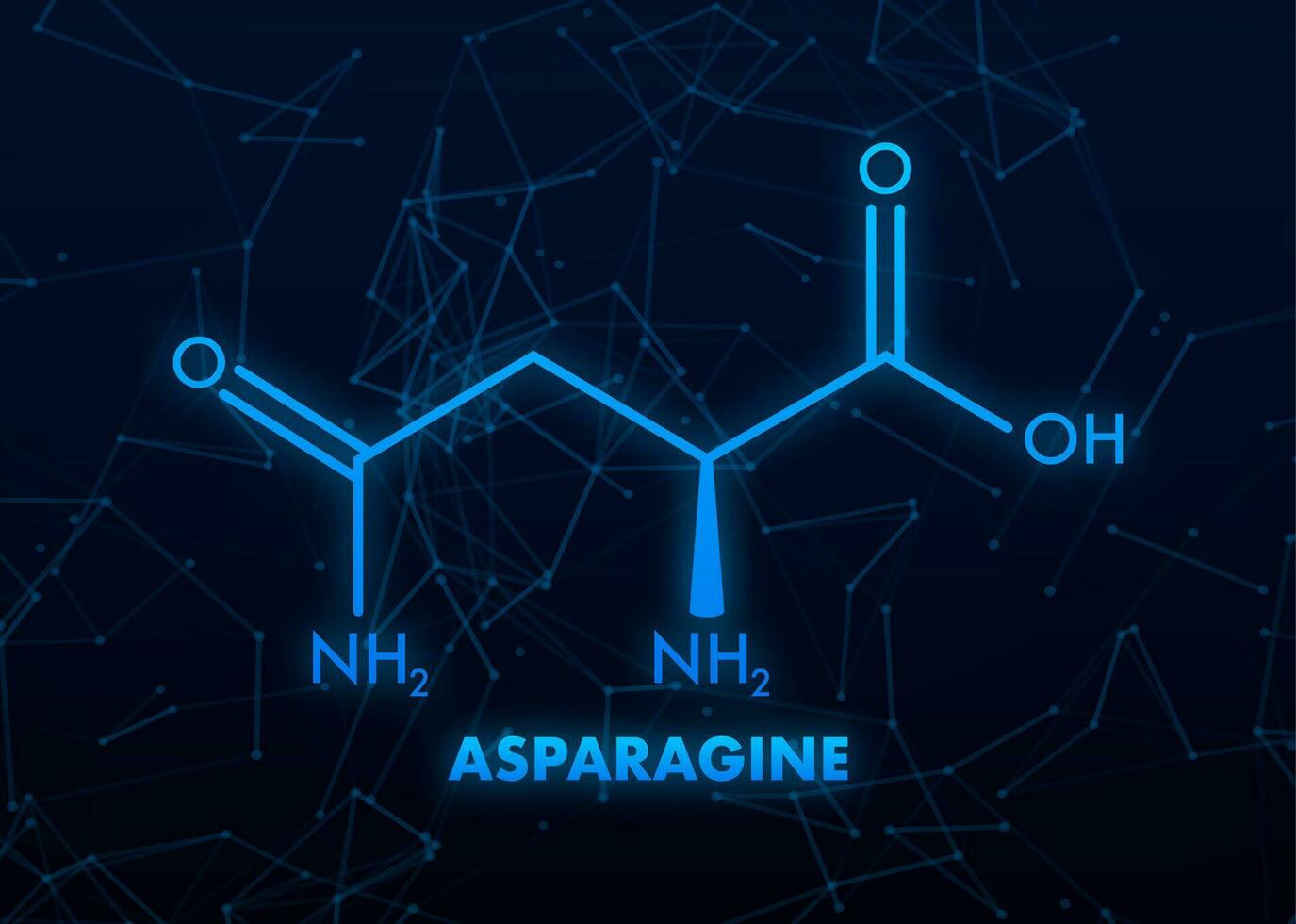moléculaire la biologie. asperge l asperge , asn, n aminé acide molécule. vecteur illustration.