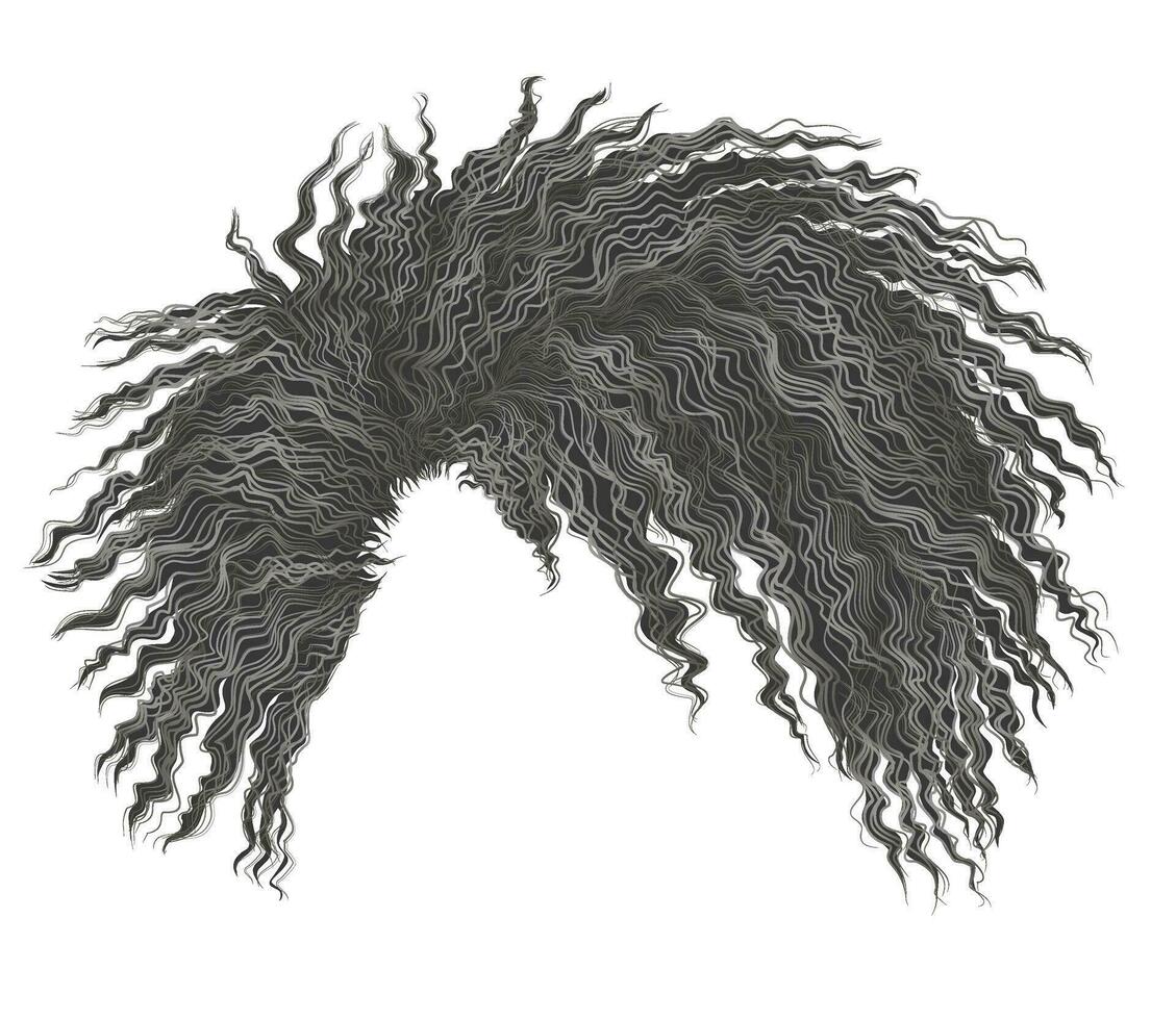 frisé ébouriffé africain gris cheveux vecteur