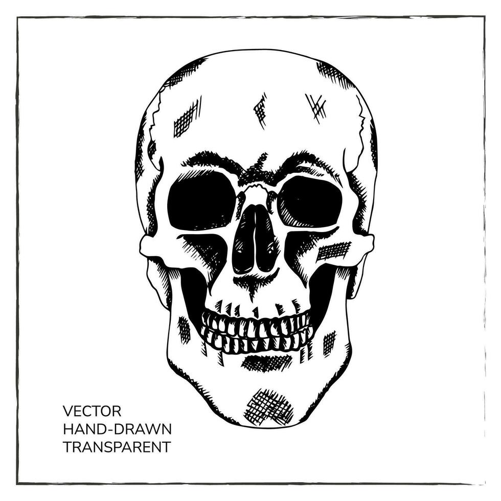 main tiré Humain crâne. esquisser Humain squelette mort tête Halloween gravure vecteur illustration. mal et effrayant visage pour conception, décoration.