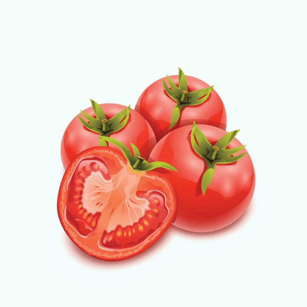 tomates groupe sur blanc vecteur
