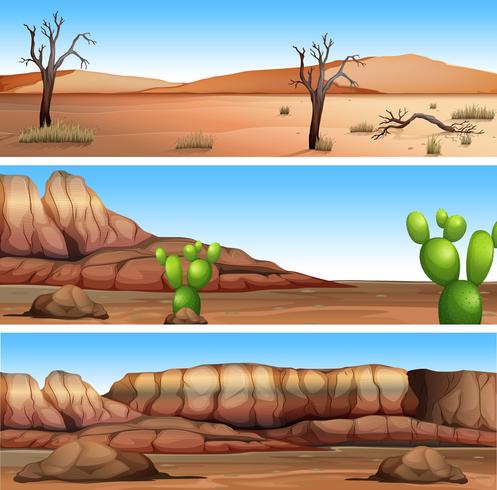 Trois scènes différentes de la vallée sèche vecteur