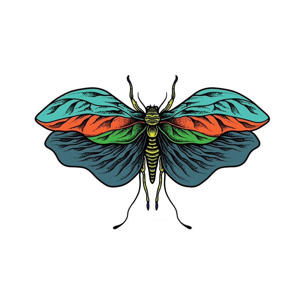 conception de dessin d'insecte vecteur