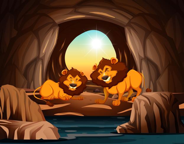 Lion vivant dans la grotte vecteur