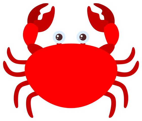 Crabe rouge sur fond blanc vecteur