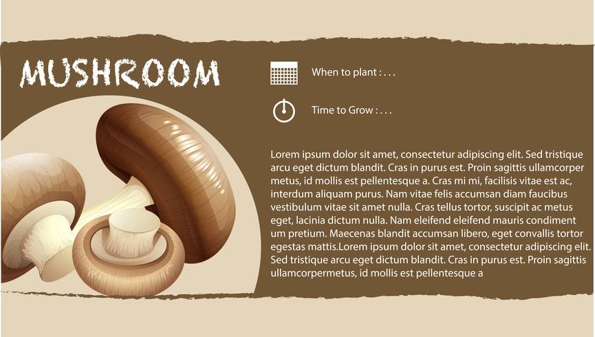 Conception infographique avec champignons frais vecteur