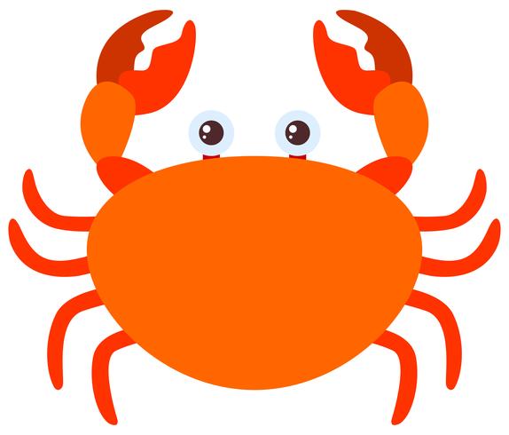 Crabe orange sur fond blanc vecteur