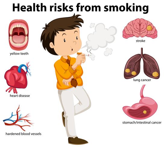 Une affiche éducative sur le tabagisme et la santé vecteur