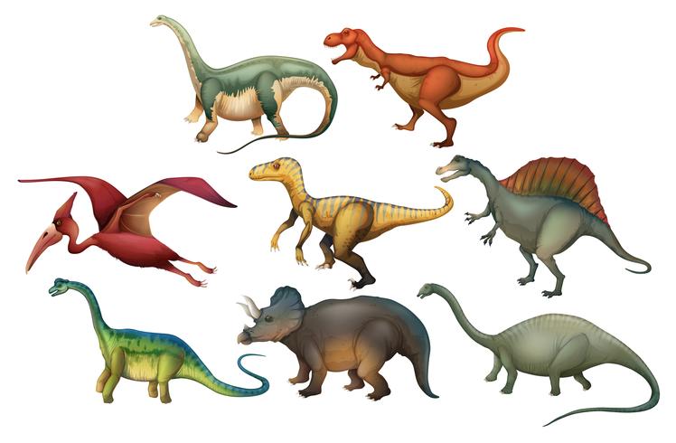 Un ensemble de dinosaures différents vecteur