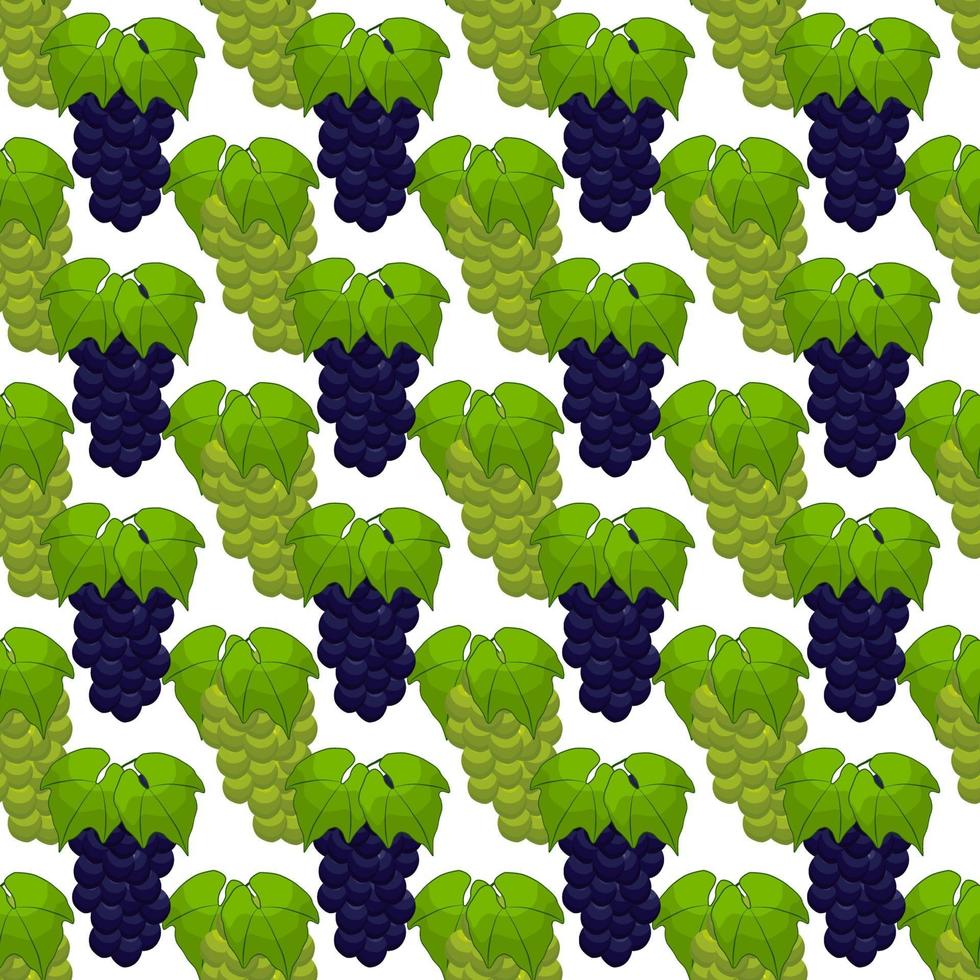 illustration sur le thème gros raisin sans soudure de couleur vecteur