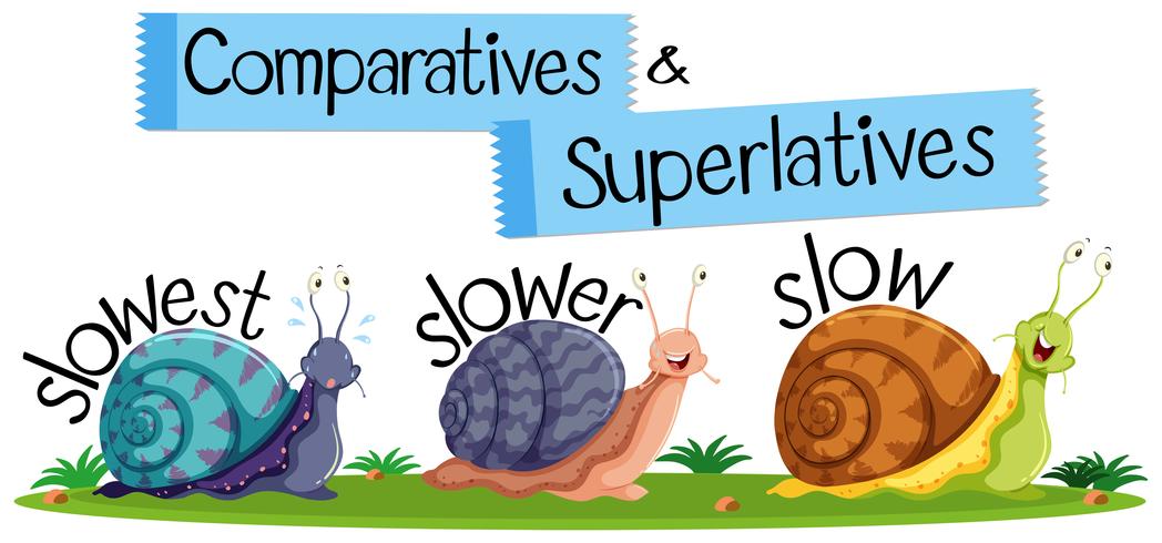 Mots anglais comparatifs et superlatifs vecteur