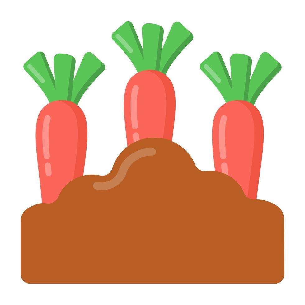 carotte et nourriture biologique vecteur