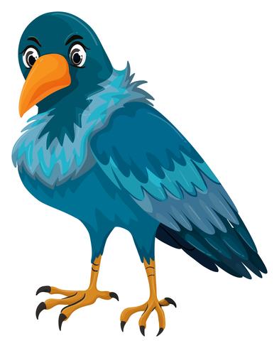 Oiseau à plume bleue vecteur