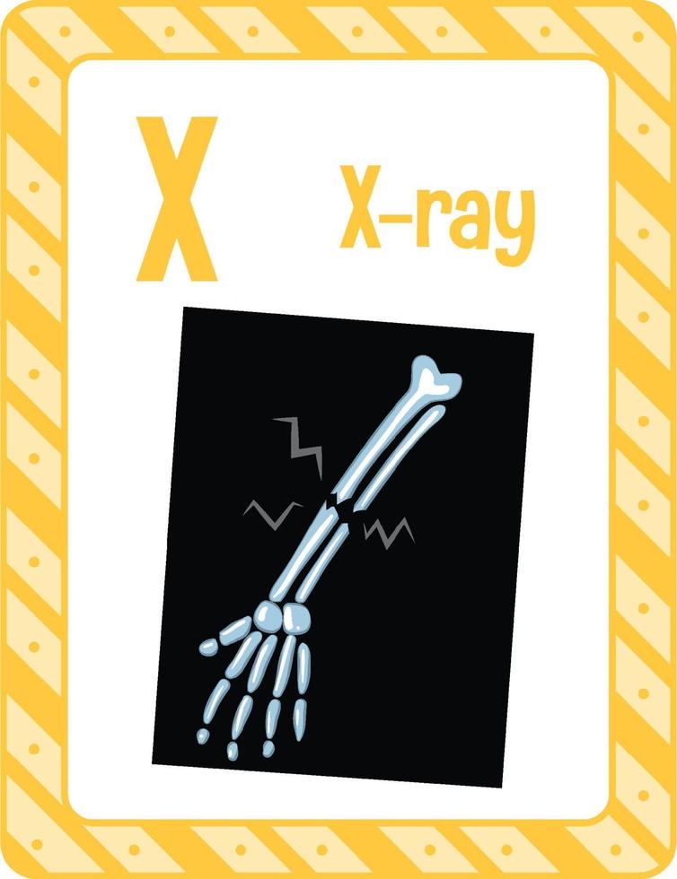 flashcard de l'alphabet avec la lettre x pour la radiographie vecteur