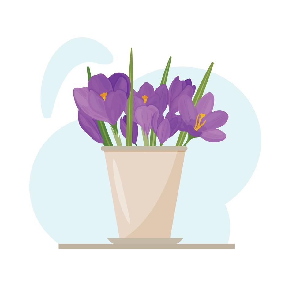image colorée de fleurs de crocus violets dans un pot. primevères lilas. vecteur