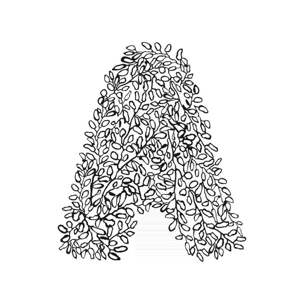illustration de la lettre dessinée à la main a. conception de typographie florale noire vecteur