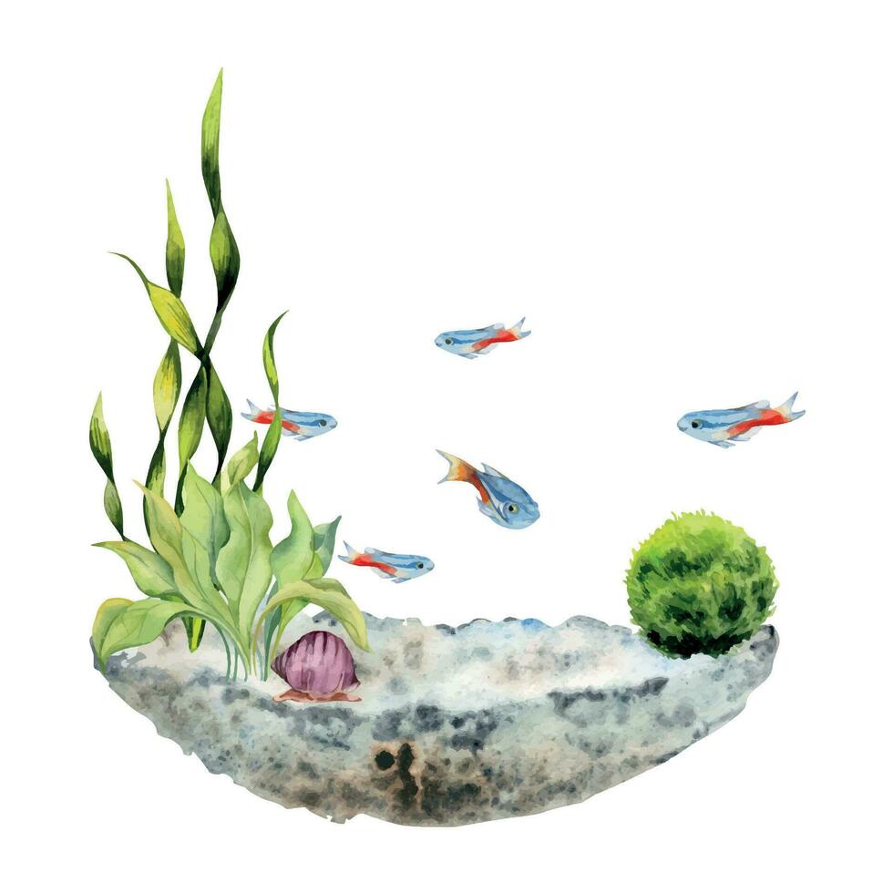 main tiré aquarelle aquarium néon tétra poisson, algues et la vie marine. Marin exotique sous-marin illustration. isolé sur blanc Contexte. conception pour magasins, brochure, imprimer, carte, mur art, textile. vecteur