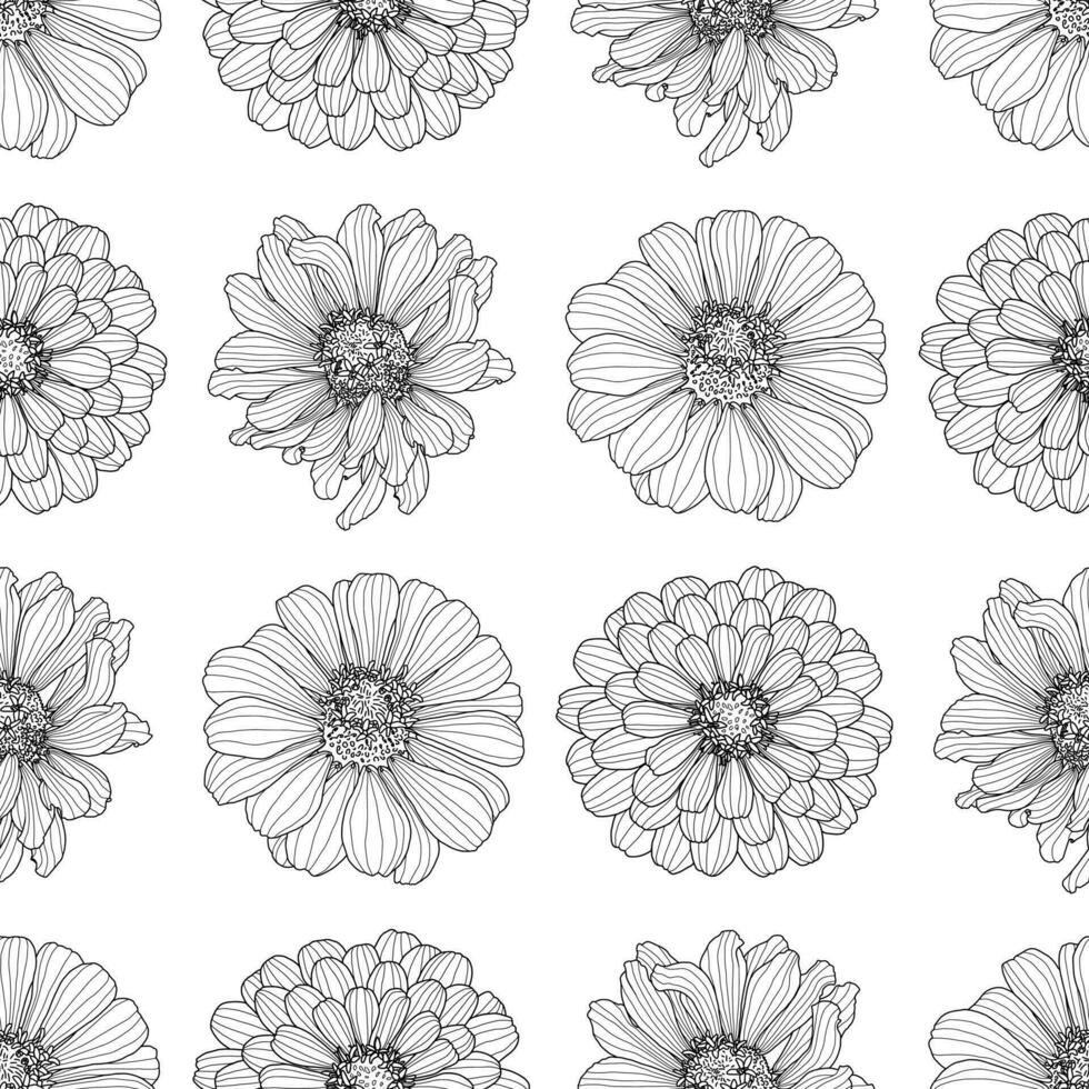 sans couture modèle de Trois dessins zinnia fleur têtes sur une blanc Contexte vecteur