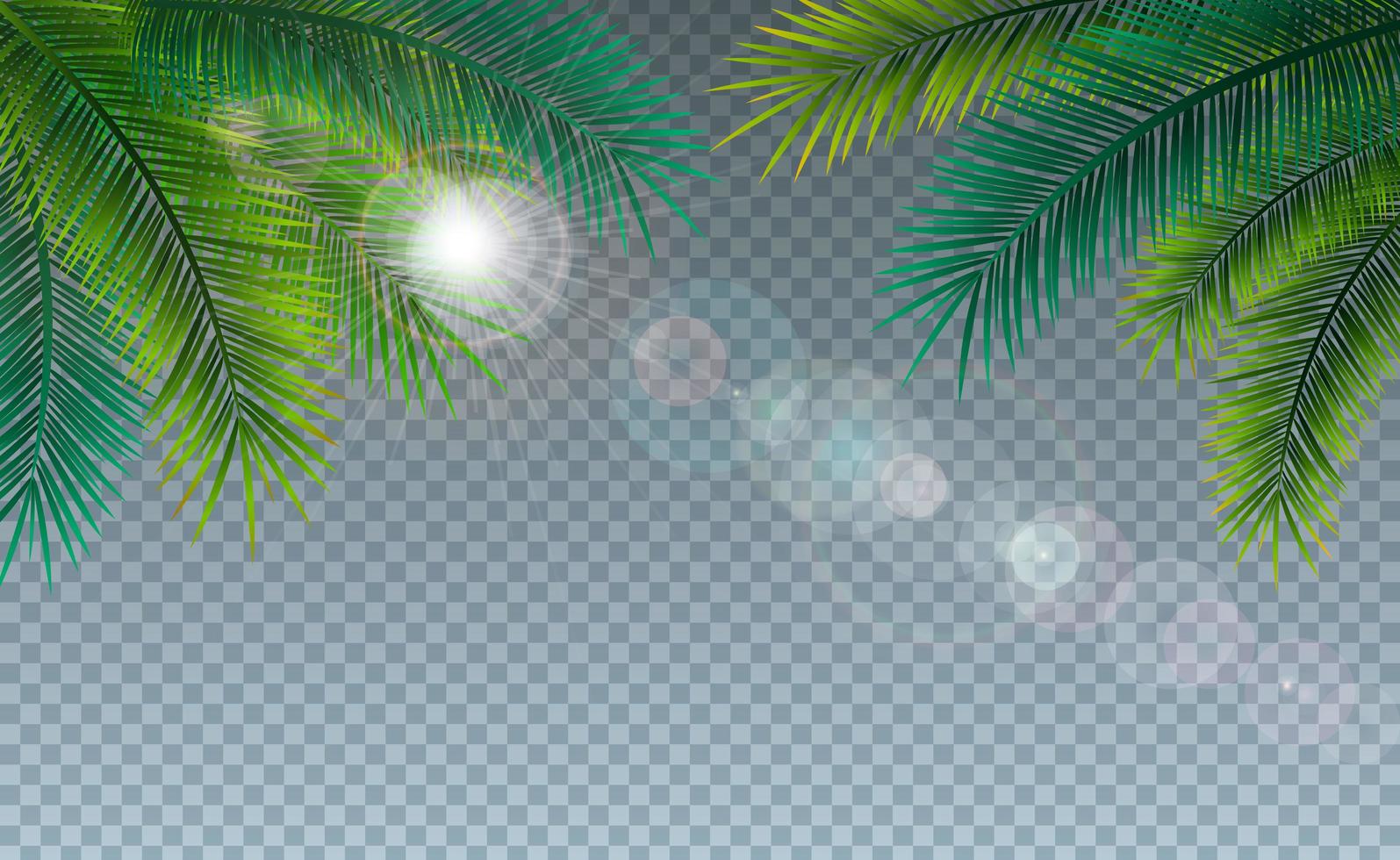 illustration vectorielle d'été avec des feuilles de palmiers tropicaux sur fond transparent. plantes exotiques et lumière du soleil pour la bannière de vacances vecteur