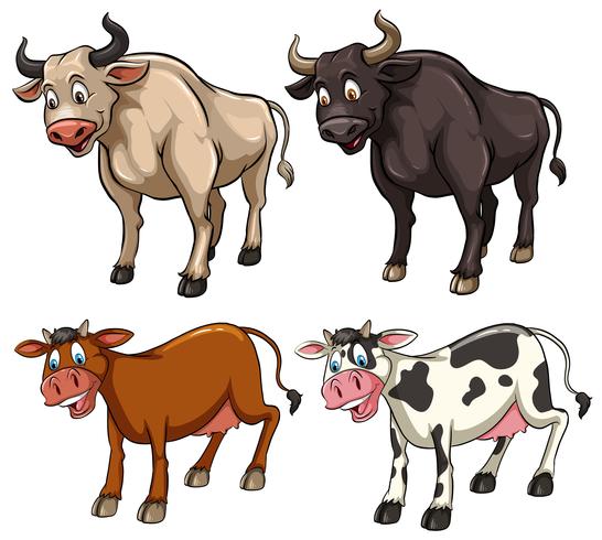 Différents types de vaches vecteur