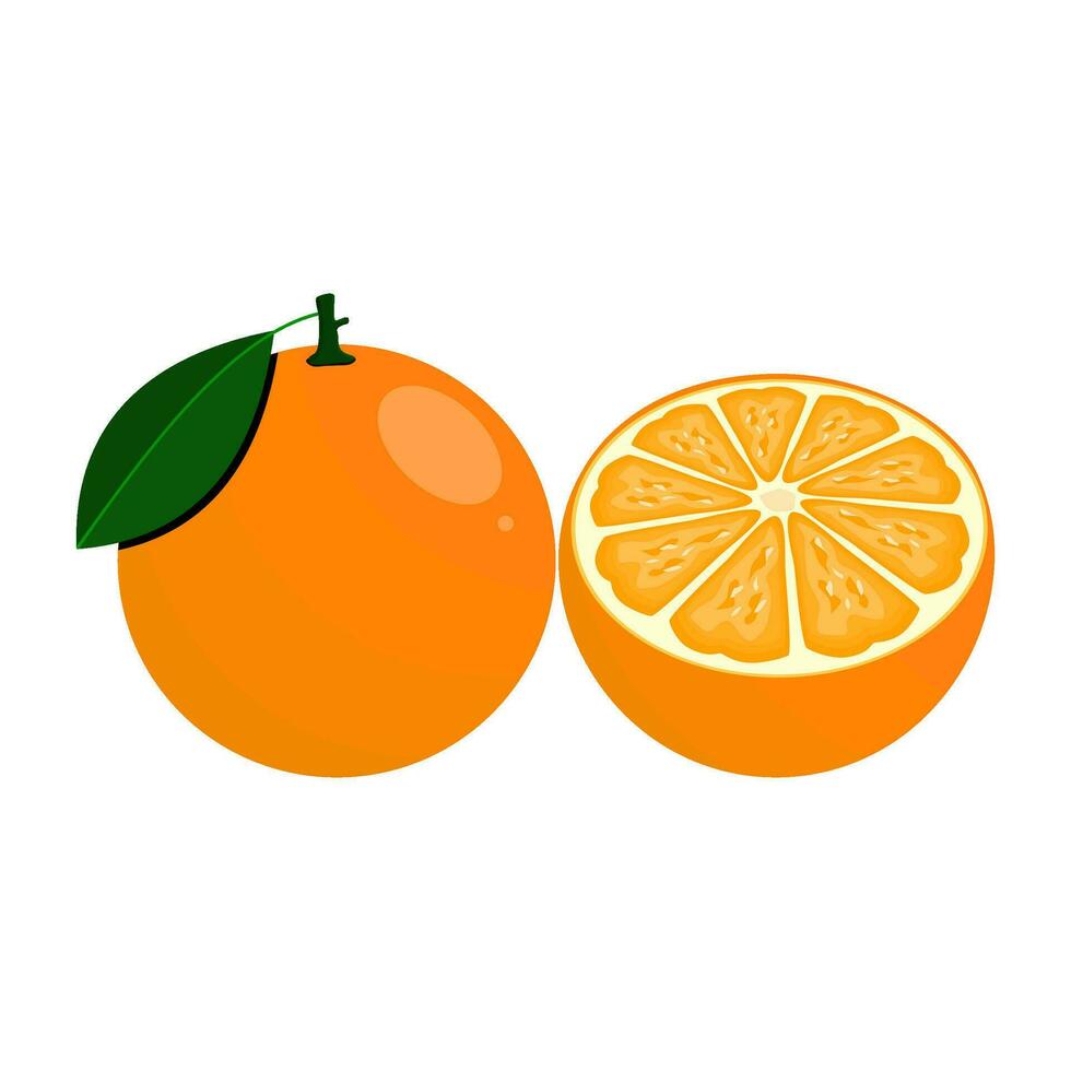 Orange est une fruit cette a une doux, Frais acide goût. cette fruit est bénéfique pour le santé de le corps vecteur