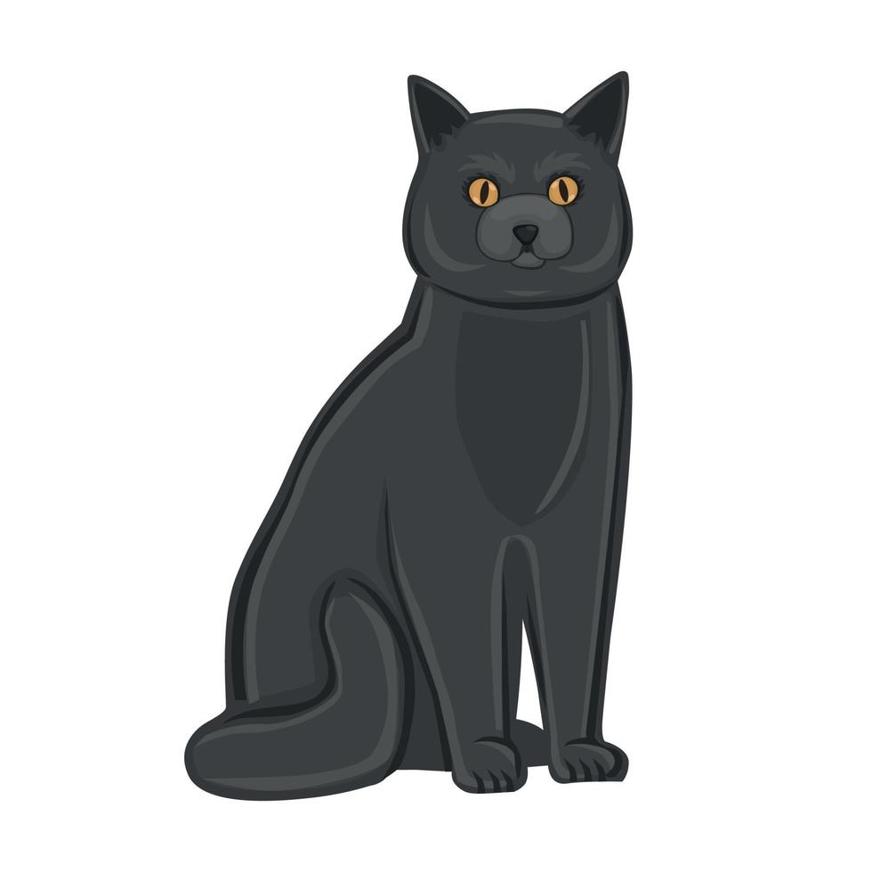 chat noir réaliste sur fond blanc - vector
