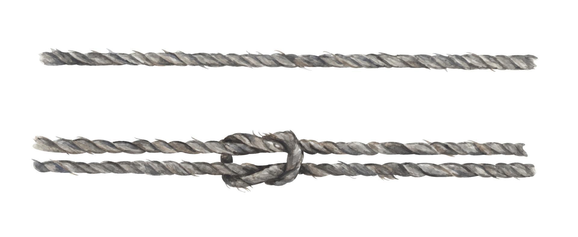 ensemble de ficelle de corde grise avec noeud. illustration à l'aquarelle. vecteur