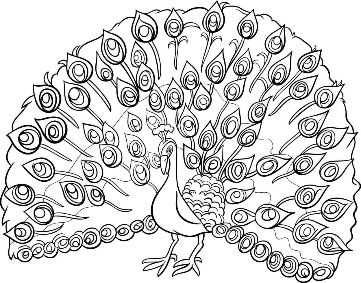 paon oiseau animal personnage dessin animé illustration coloration page vecteur