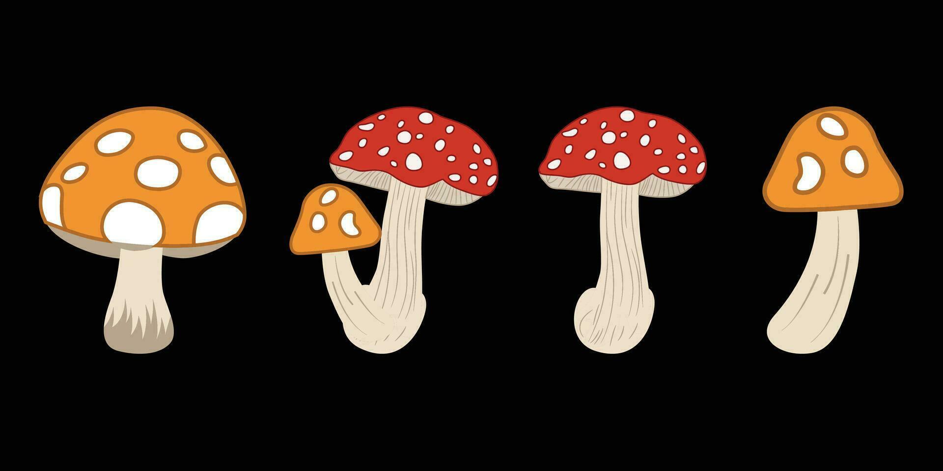 sans couture champignons modèle avec beaucoup différent coloré champignons sur une noir Contexte vecteur