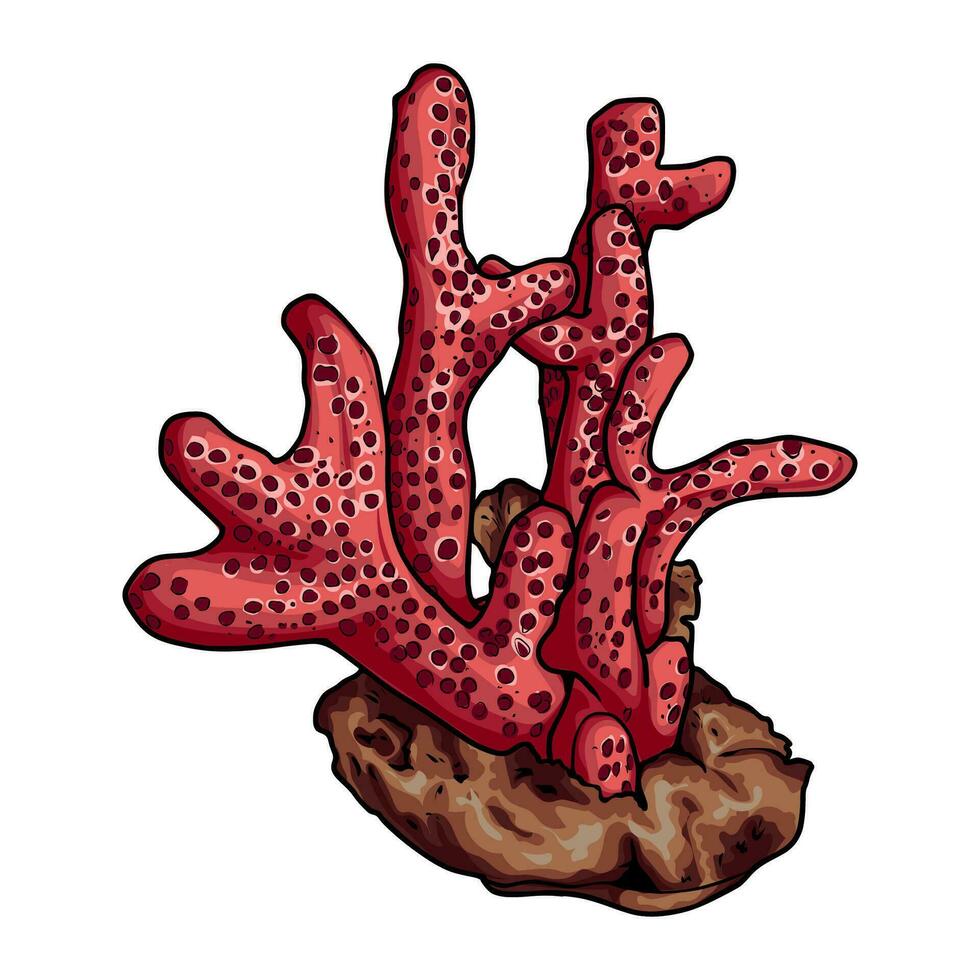 corail vecteur illustration