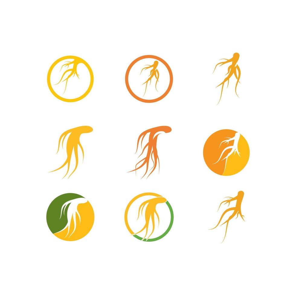 vecteur de logo de ginseng