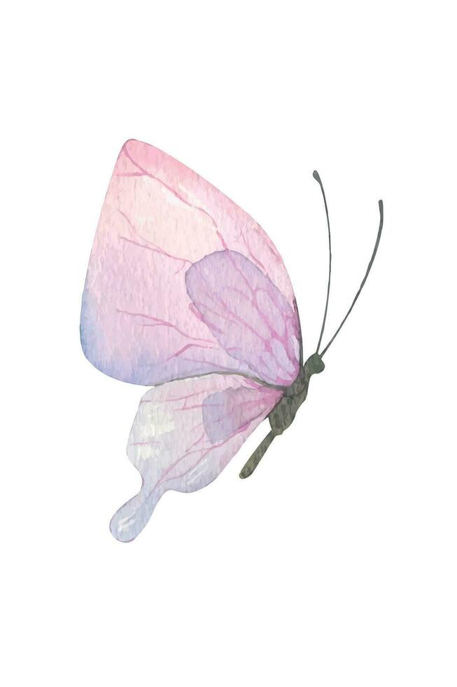 violet papillon. dessiné à la main aquarelle illustration. isolé objet sur une blanc Contexte pour décoration et conception vecteur