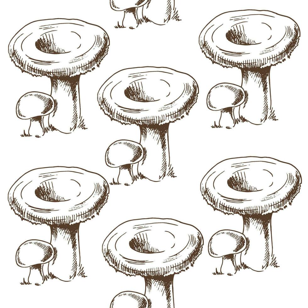 sans couture modèle de main tiré forêt champignons. ancien dessin. éco nourriture ancien vecteur illustration. esquisser illustration pour imprimer, la toile, mobile et infographies.