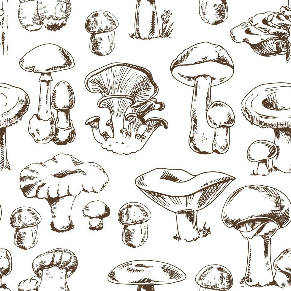 sans couture modèle de différent dessiné à la main champignons. esquisser illustration pour imprimer, la toile, mobile et infographies. vecteur