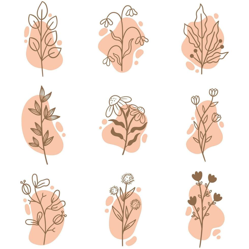 dessiné à la main botanique feuille fleur contour, Rose doux éléments illustration, vecteur pack collection