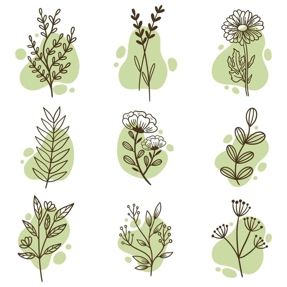 dessiné à la main botanique feuille fleur contour, vert éléments illustration, vecteur pack collection