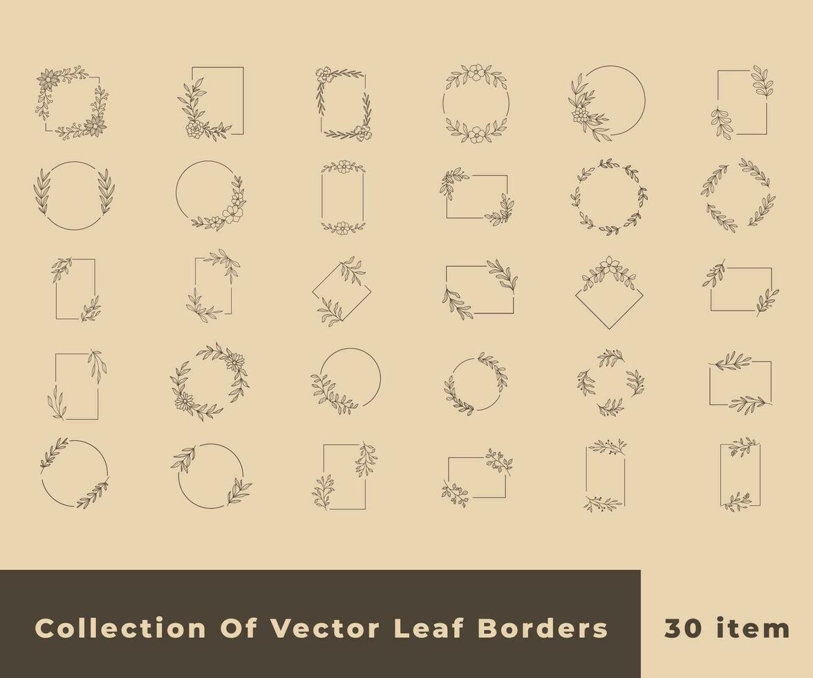 collection frontière feuilles décoration vecteur