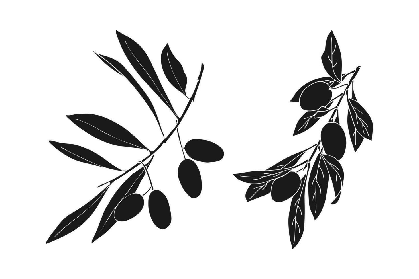 noir Icônes olive branches, silhouette contour dessiné. vecteur