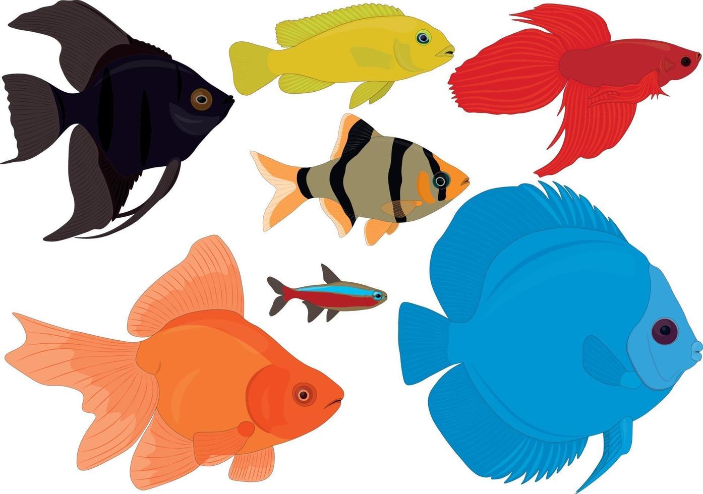 Illustration vectorielle de collection de poissons tropicaux colorés d'aquarium vecteur