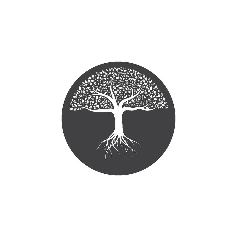 arbre icône logo modèle vecteur