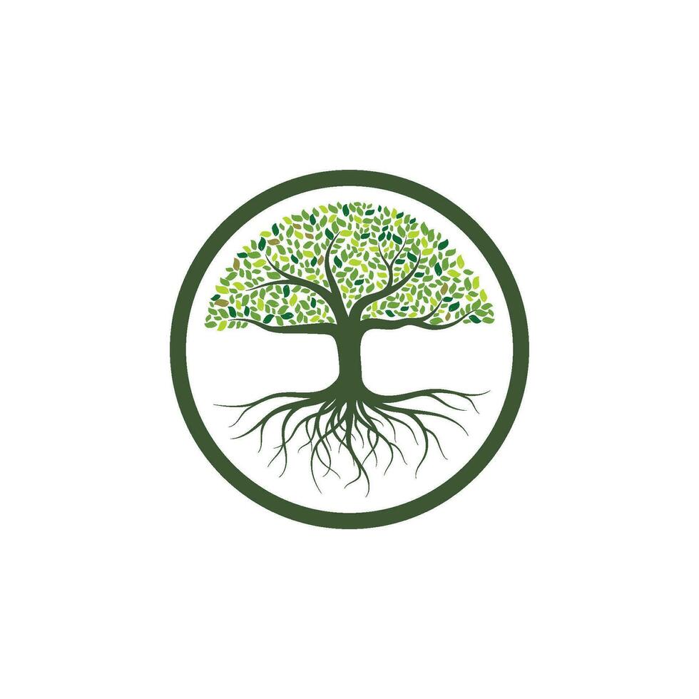 arbre icône logo modèle vecteur