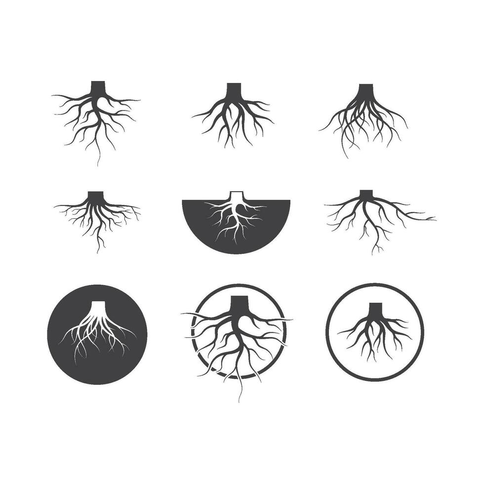 arbre les racines vecteur icône illustration conception